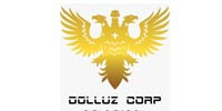 dulluz corp